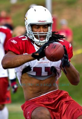 Larry Fitzgerald shirtless